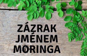 Moringový olej - zázrak 21. století